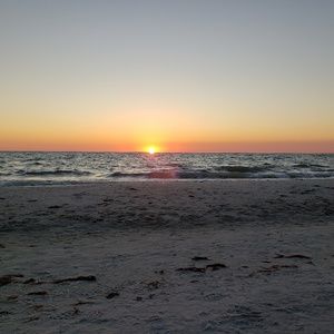 Meet your Posher, Shawn